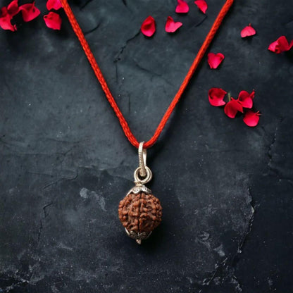7 Mukhi Nepali Rudraksha